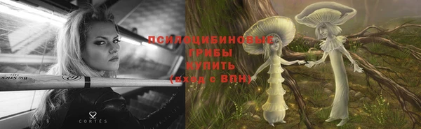 бошки Каменка