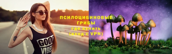 ПСИЛОЦИБИНОВЫЕ ГРИБЫ Каменногорск