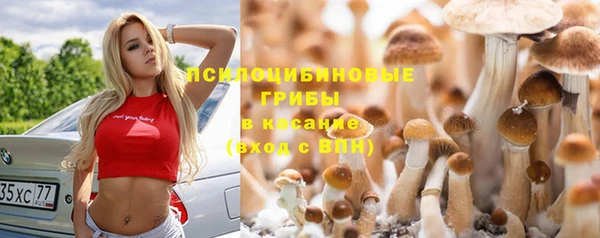 круглые Каменск-Шахтинский